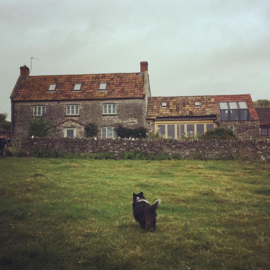 Castle Farm Bed and Breakfast Wedmore Esterno foto