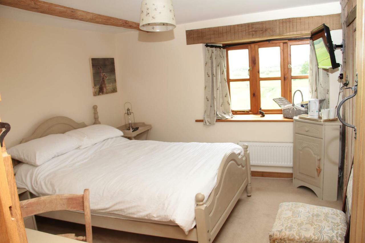Castle Farm Bed and Breakfast Wedmore Esterno foto